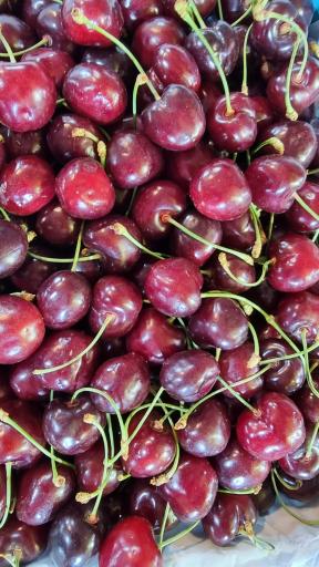 عکس هایپر میوه نارنج