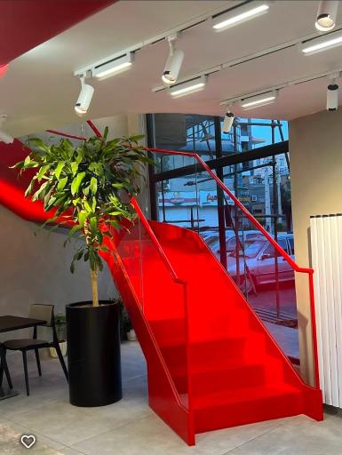 عکس پیتزا میثم