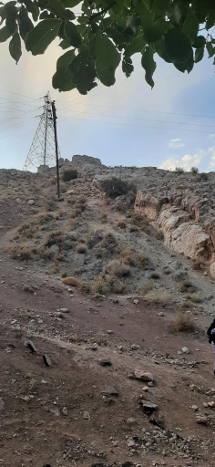 عکس شیر قلعه شهمیرزاد