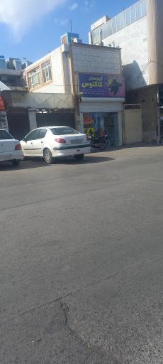عکس گیم سنتر کاکتوس
