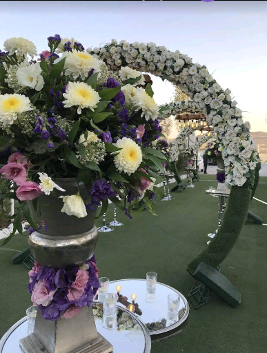 عکس باغ تالار ایلیا