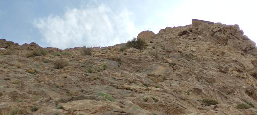 عکس شیر قلعه شهمیرزاد