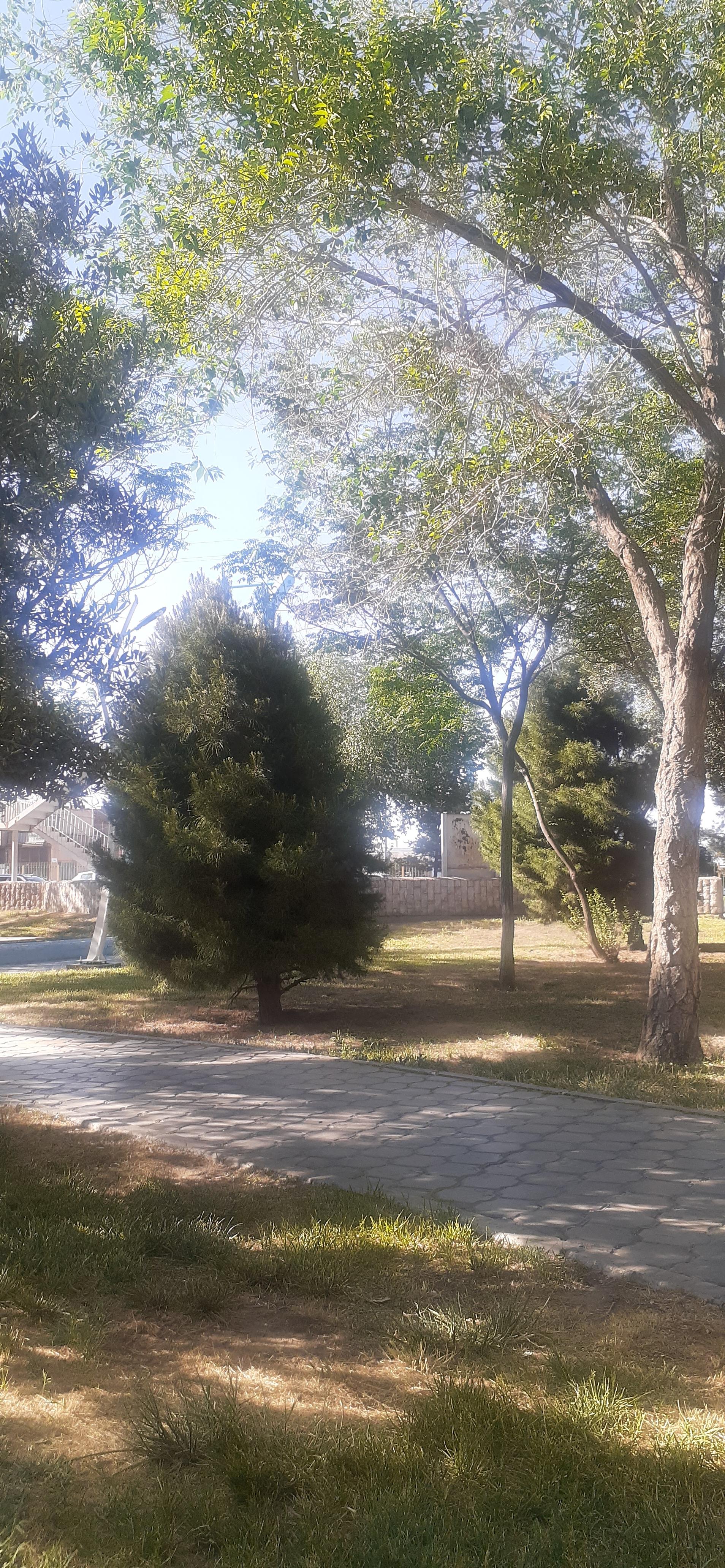 عکس پارک شهدا شهر راوند