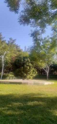 عکس پارک شهدا شهر راوند