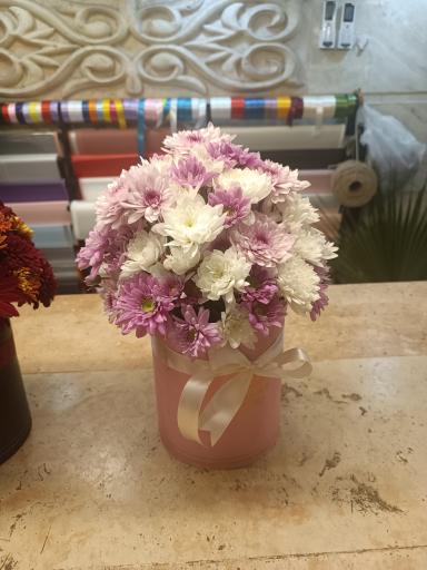 عکس گل فروشی مجید 