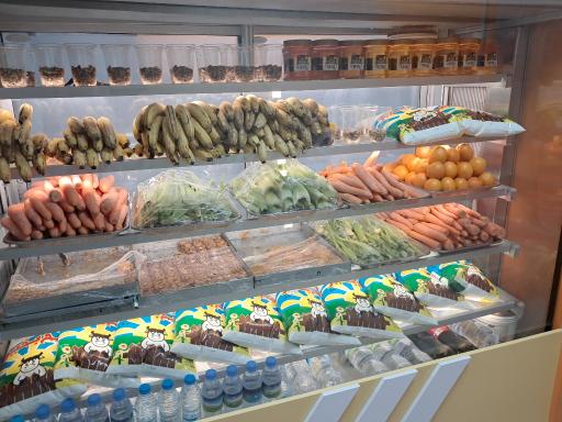 عکس شهر بستنی