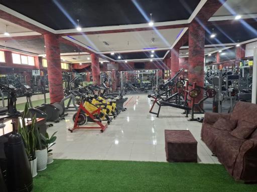 عکس باشگاه بدن سازی المپیک