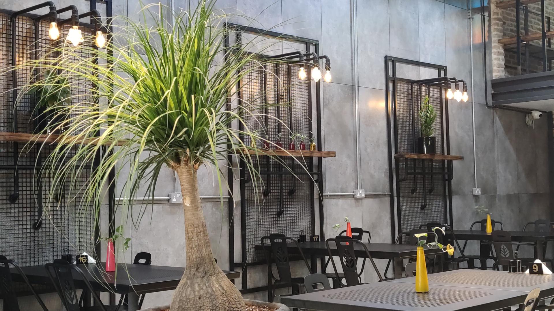 عکس رستوران جوجه طلایی