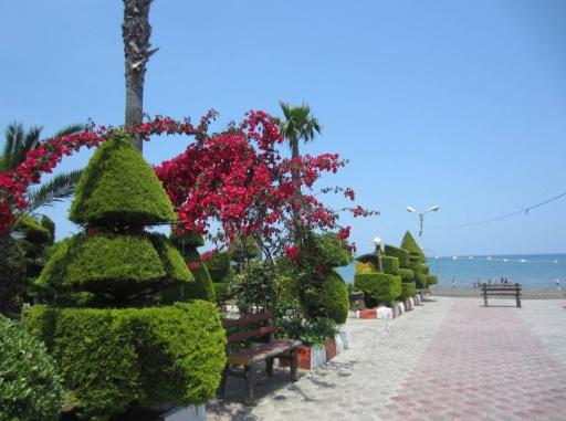 عکس مجتمع گلها (کشتیرانی)