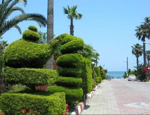 عکس مجتمع گلها (کشتیرانی)