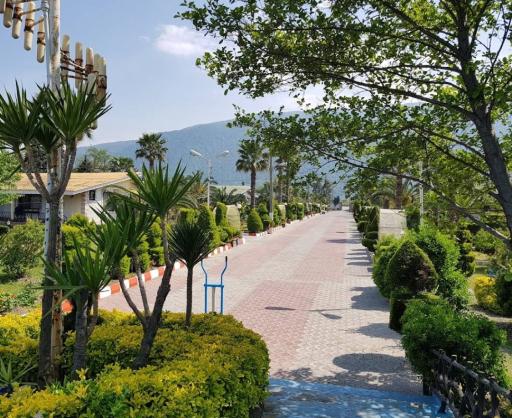 عکس مجتمع گلها (کشتیرانی)