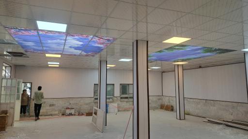 عکس دکوراسیون ترنج کاغذ دیواری