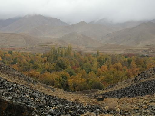 کرمجگان