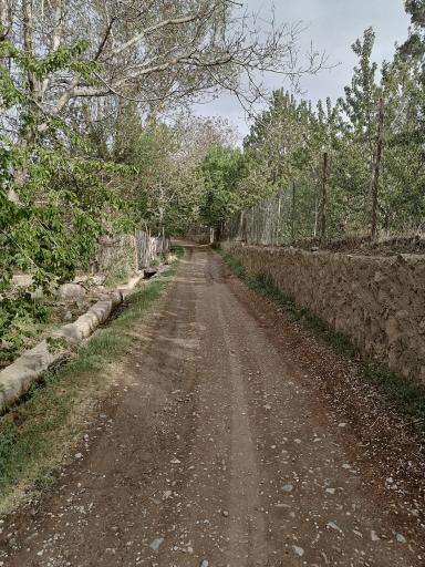 عکس کرمجگان