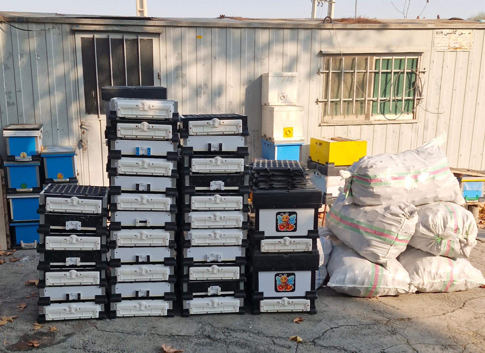 عکس کندوسازی لانگسترود