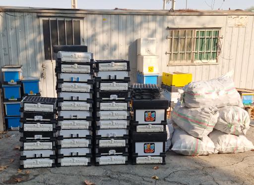 عکس کندوسازی لانگسترود