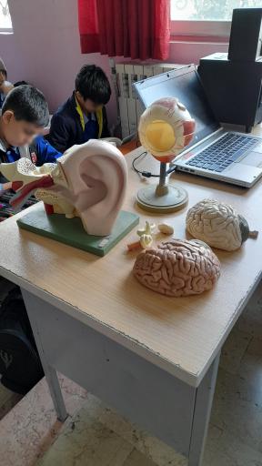 عکس دبستان پسرانه علی بن ابی طالب(ع)