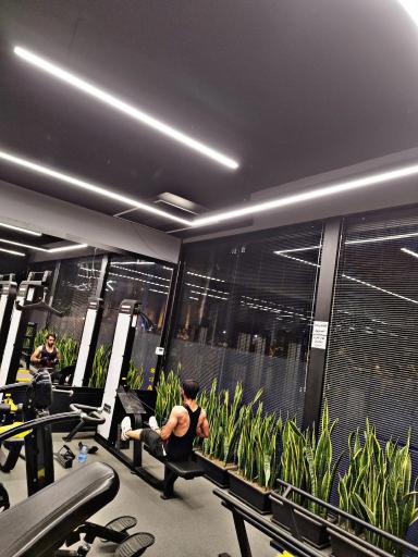عکس باشگاه بدنسازی بدن برای زندگی