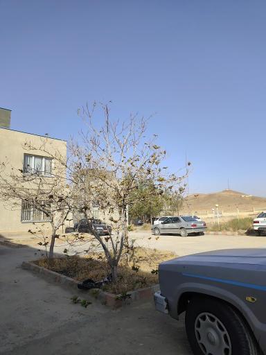 عکس اداره کار شهرستان عجبشیر