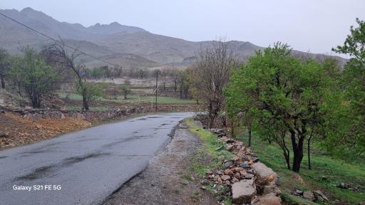 عکس کرمجگان