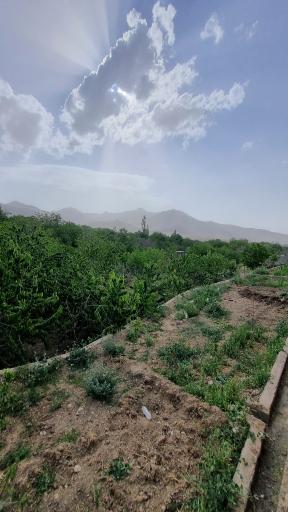 عکس کرمجگان