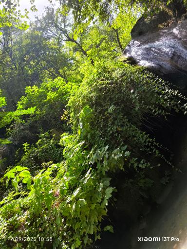 عکس آبشار لوه