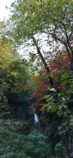 عکس آبشار لوه