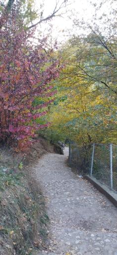 عکس آبشار لوه