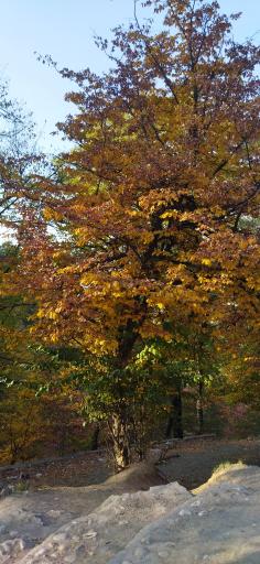 عکس آبشار لوه