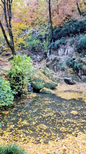 عکس آبشار لوه