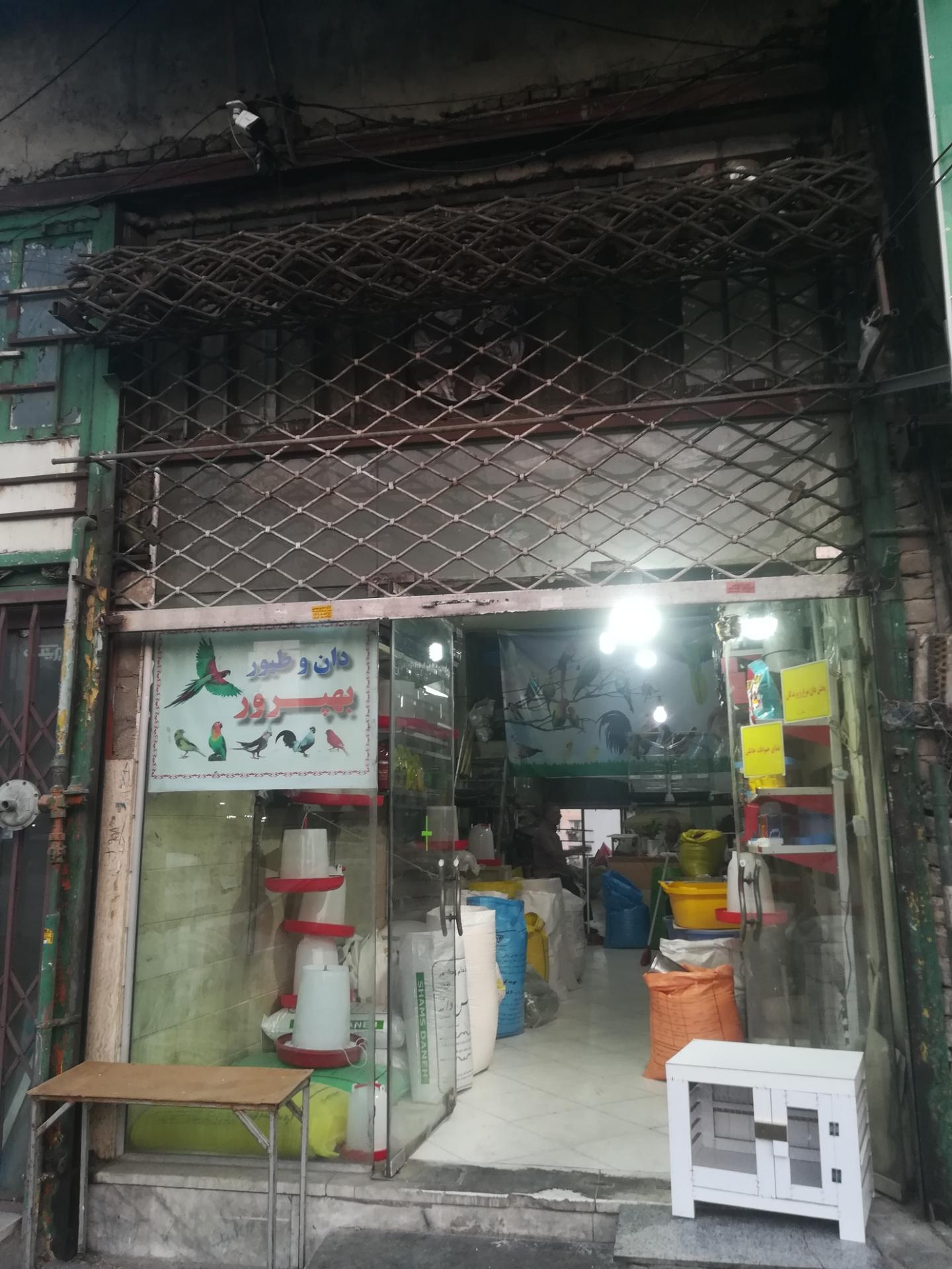 عکس نمایندگی دان و تیور بهپرور