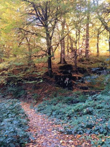 عکس آبشار لوه