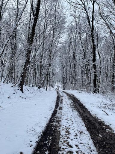 عکس آبشار لوه