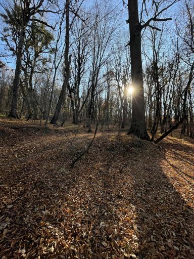 عکس آبشار لوه