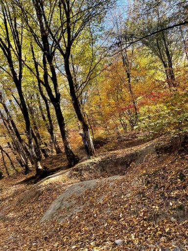 عکس آبشار لوه