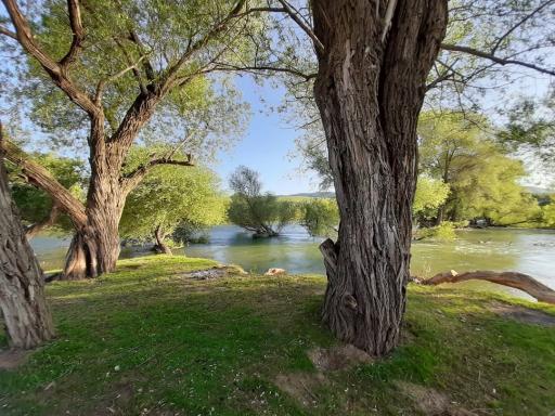 عکس محمودآباد