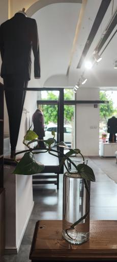 عکس فروشگاه پوشاک مردانه دامون