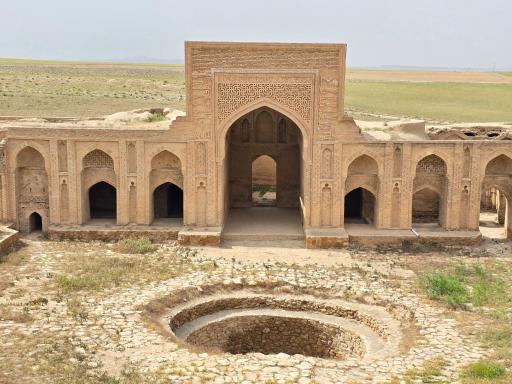 عکس سرخس