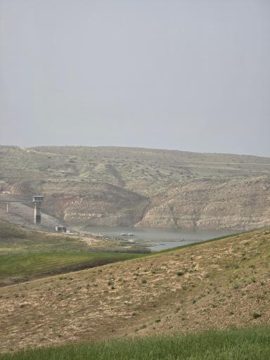 عکس سرخس