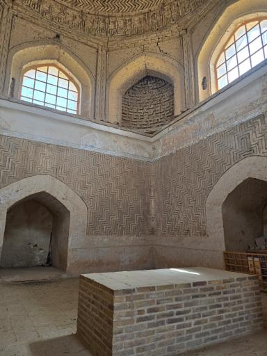 عکس سرخس