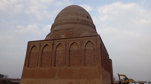 عکس سرخس