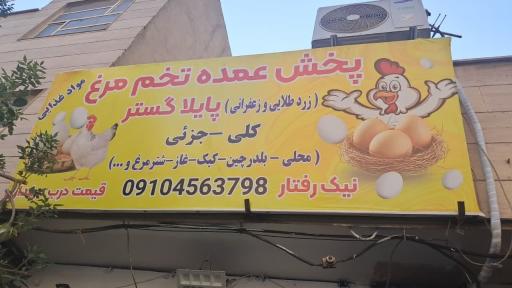 عکس پخش تخم مرغ ( پایلا گستر )