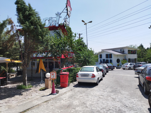 عکس یامی لند