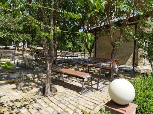 عکس یامی لند