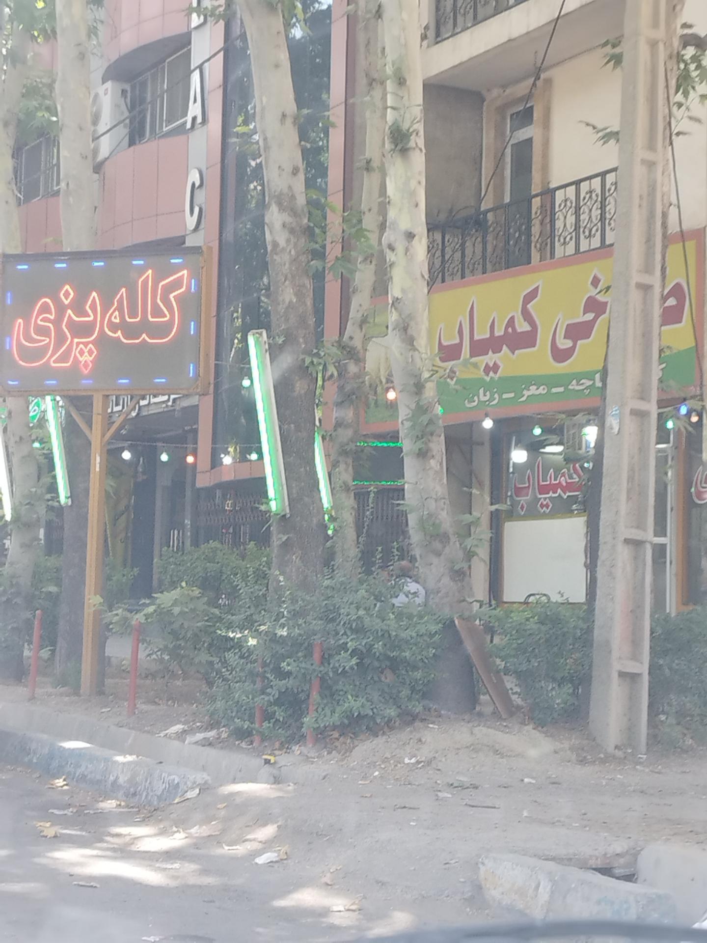 عکس طباخی کمیاب