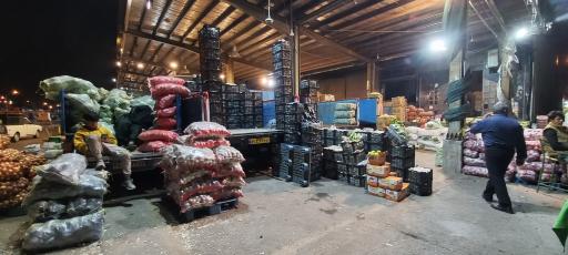 عکس میدان میوه و تره بار مرکزی مادر