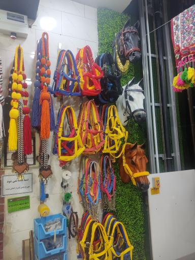 عکس لوازم سوارکاری تکسوار 