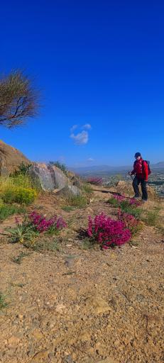 عکس کوه بوجه