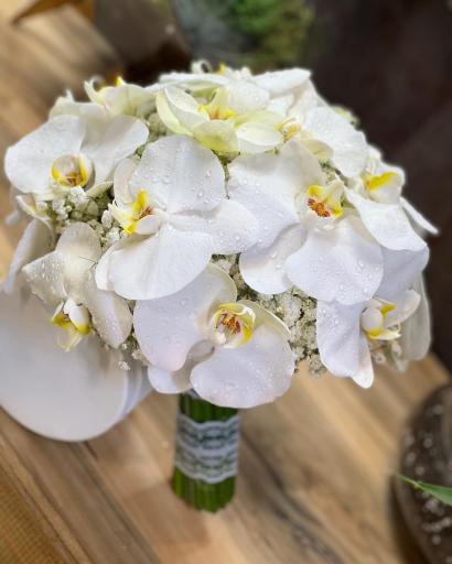 عکس هینا گل 