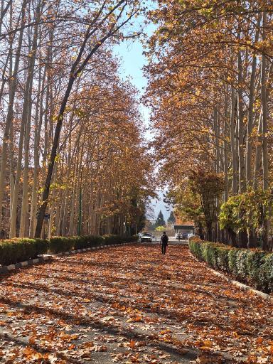 عکس دانشگاه شهید بهشتی، پردیس فنی و مهندسی شهید عباسپور